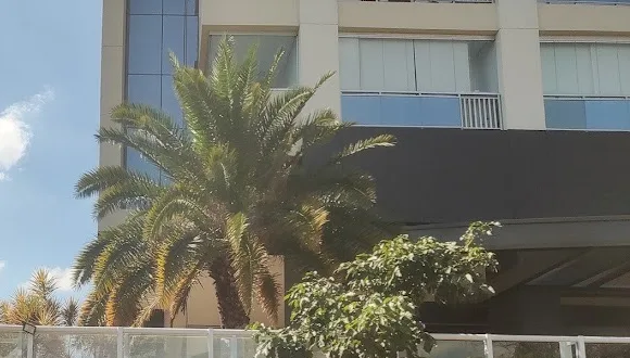 Fachada do prédio com palmeira na Rua Vergueiro, 2253